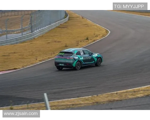 和平精英赛事分析聚焦WE战队在耐力方面的卓越表现与战术运用实时数据