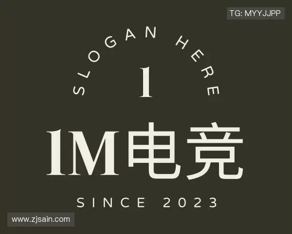 了解IM电竞